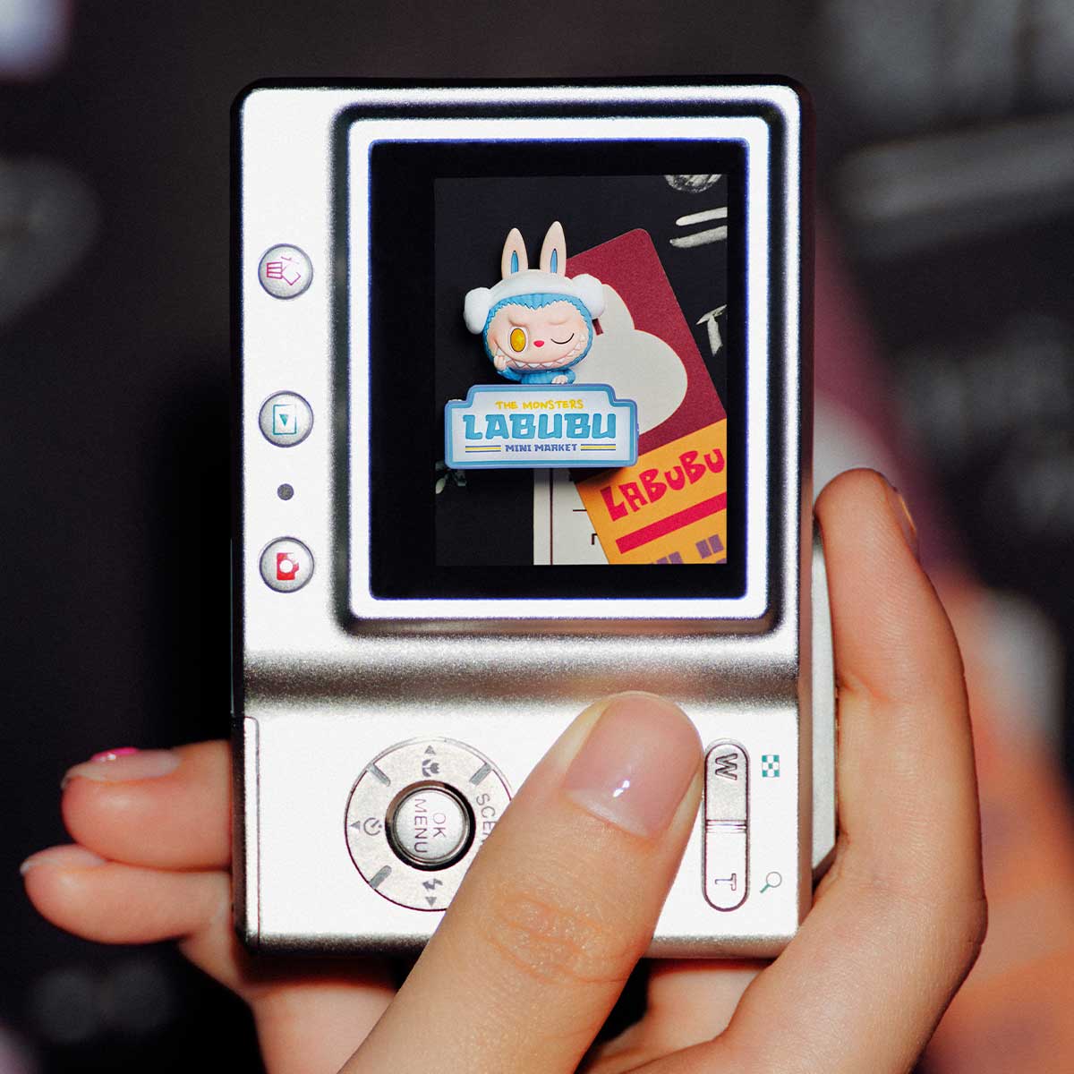 Labubu Wacky Mart Series-Fridge Magnet Blind Box