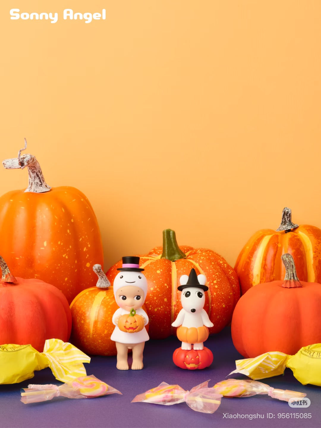 Sonny Angel Pumpkin Patch Series Blind Box